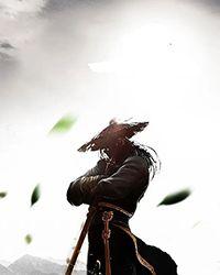 穿越唐朝大理寺